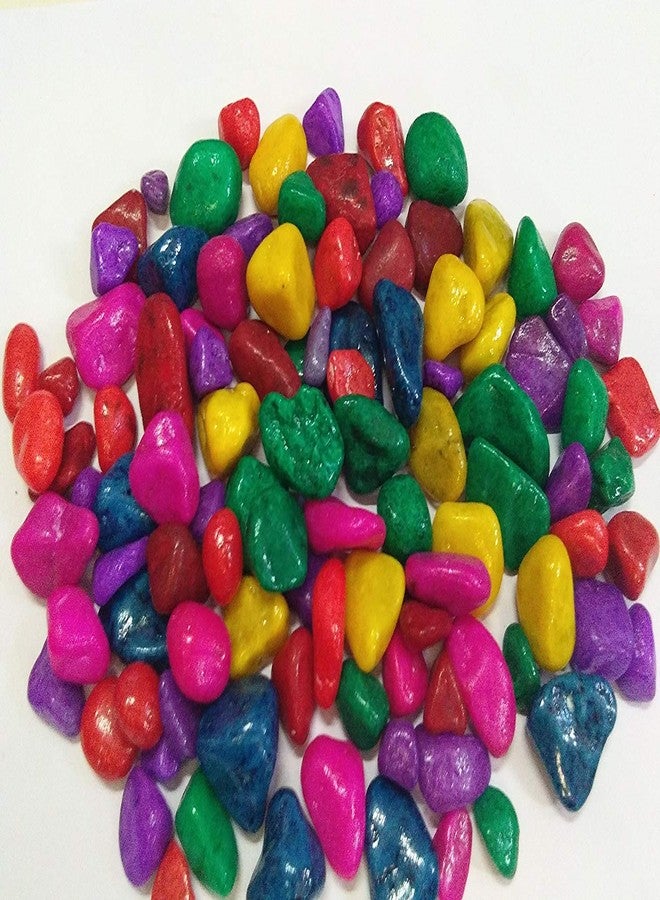 CAPPL Multi-Colour Aquarium Decor Pebbles, 1 Kg